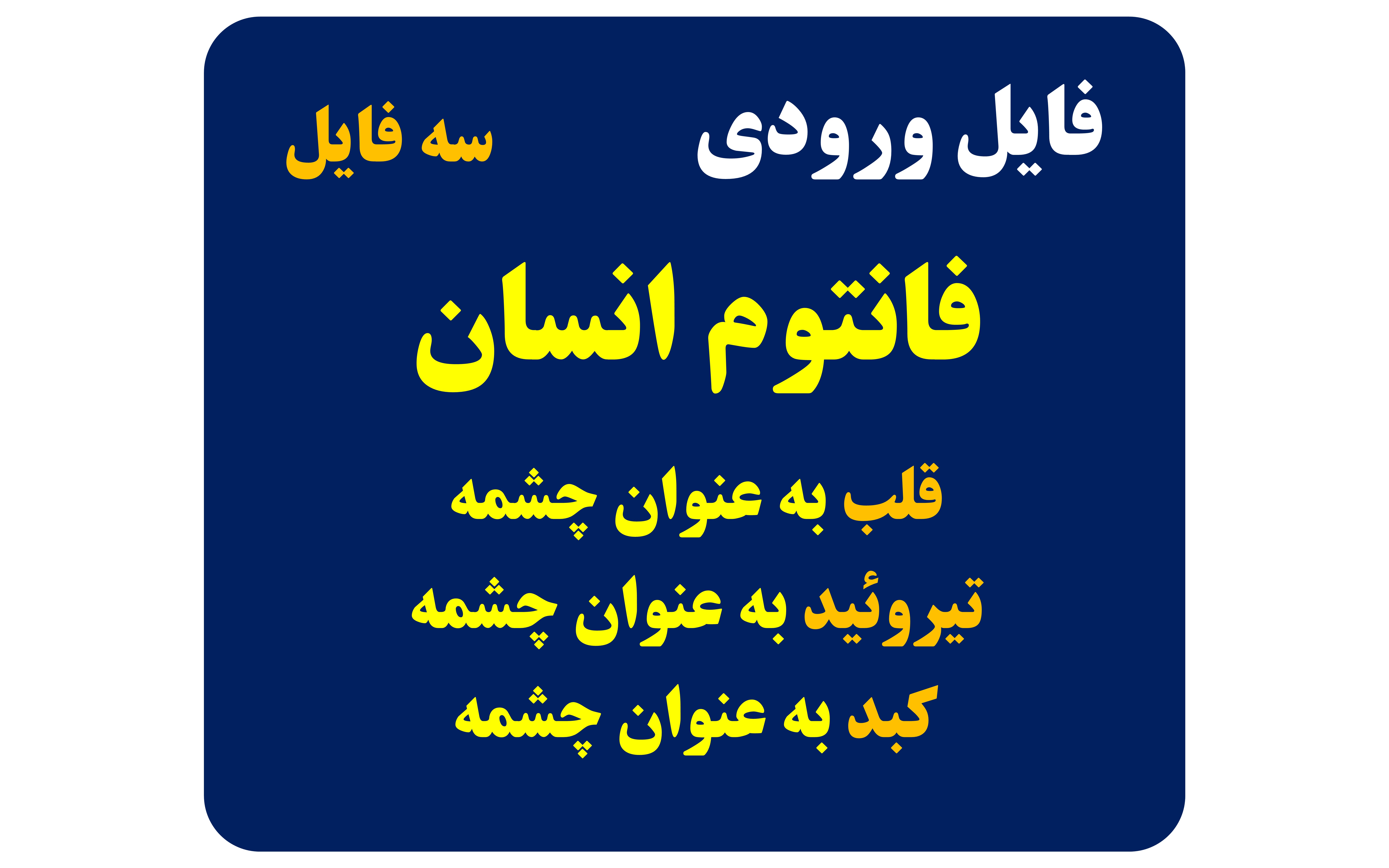 سه فایل ورودی فانتوم انسان شامل چشمه های مختلف (قلب، تیروئید و کبد)